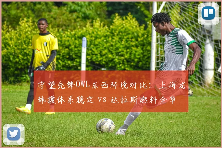 守望先锋OWL东西环境对比:上海龙韩援体系稳定 vs 达拉斯燃料全华班挣扎